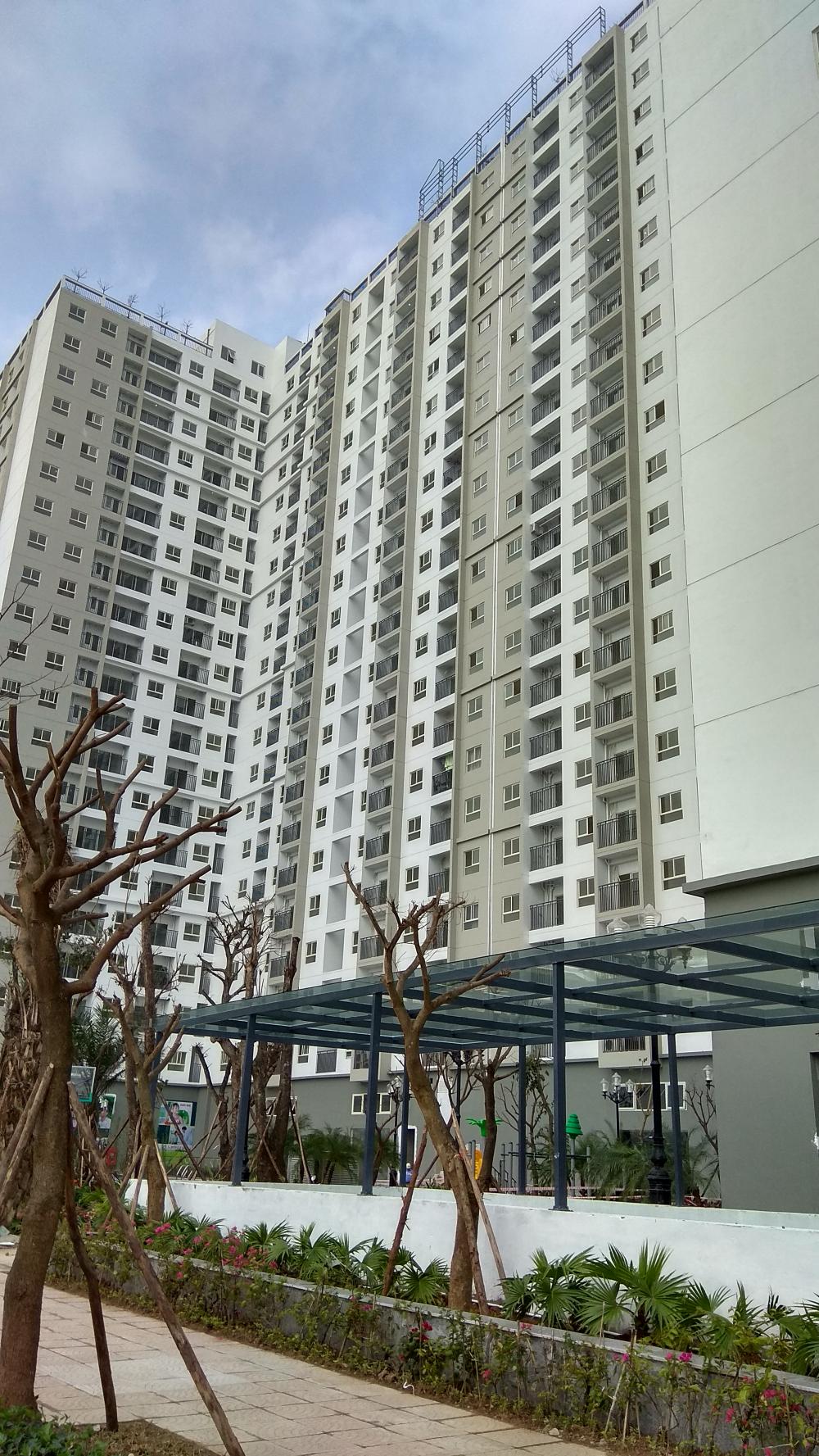 Dự án đã hoàn thiện