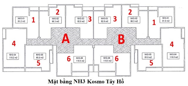 Tầng điển hình