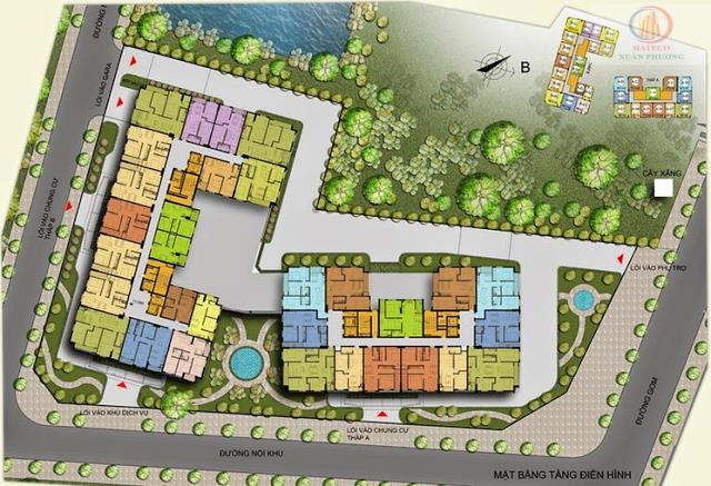 Tầng điển hình