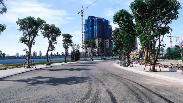 Đường nội khu đang được lát vỉa hè và trải nhựa