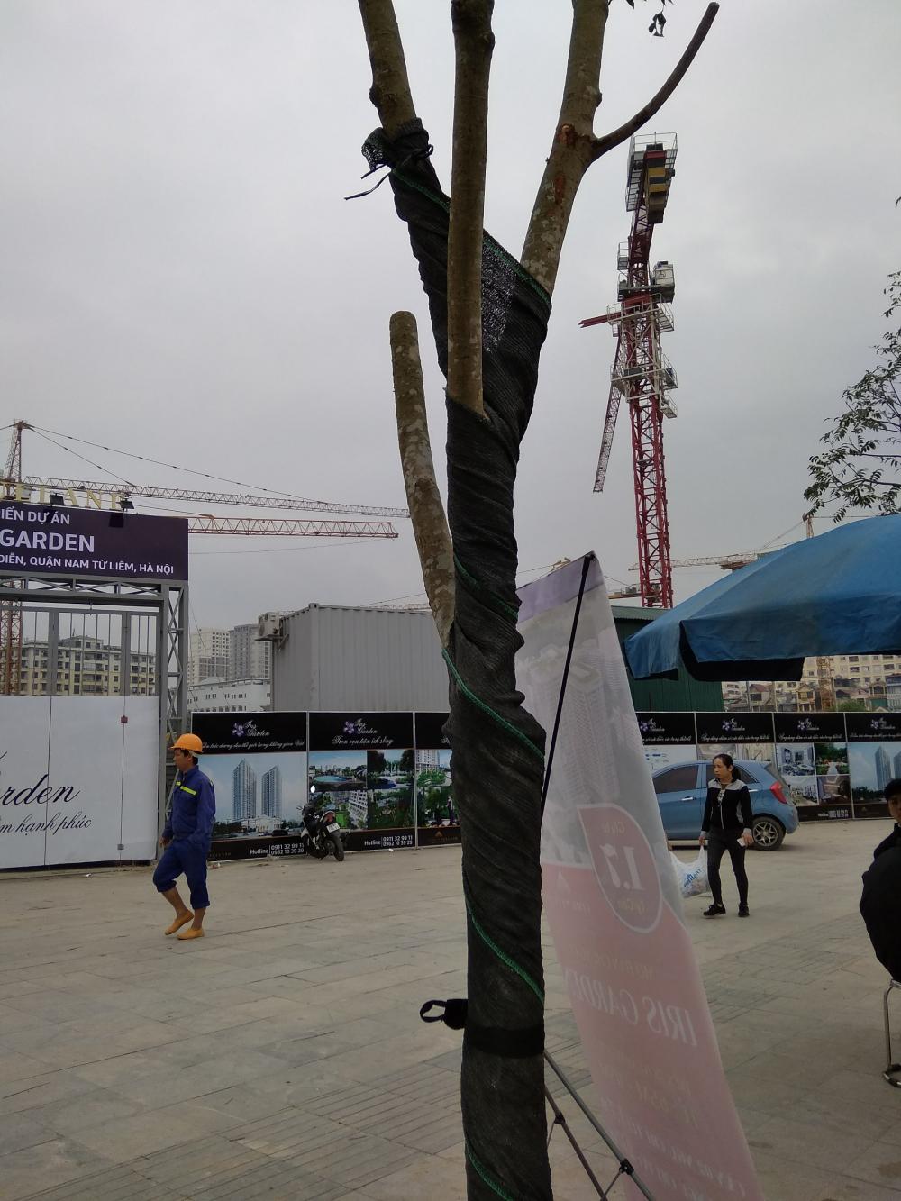 Dự án đang trong quá trình thi công