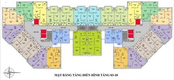 Tầng điển hình