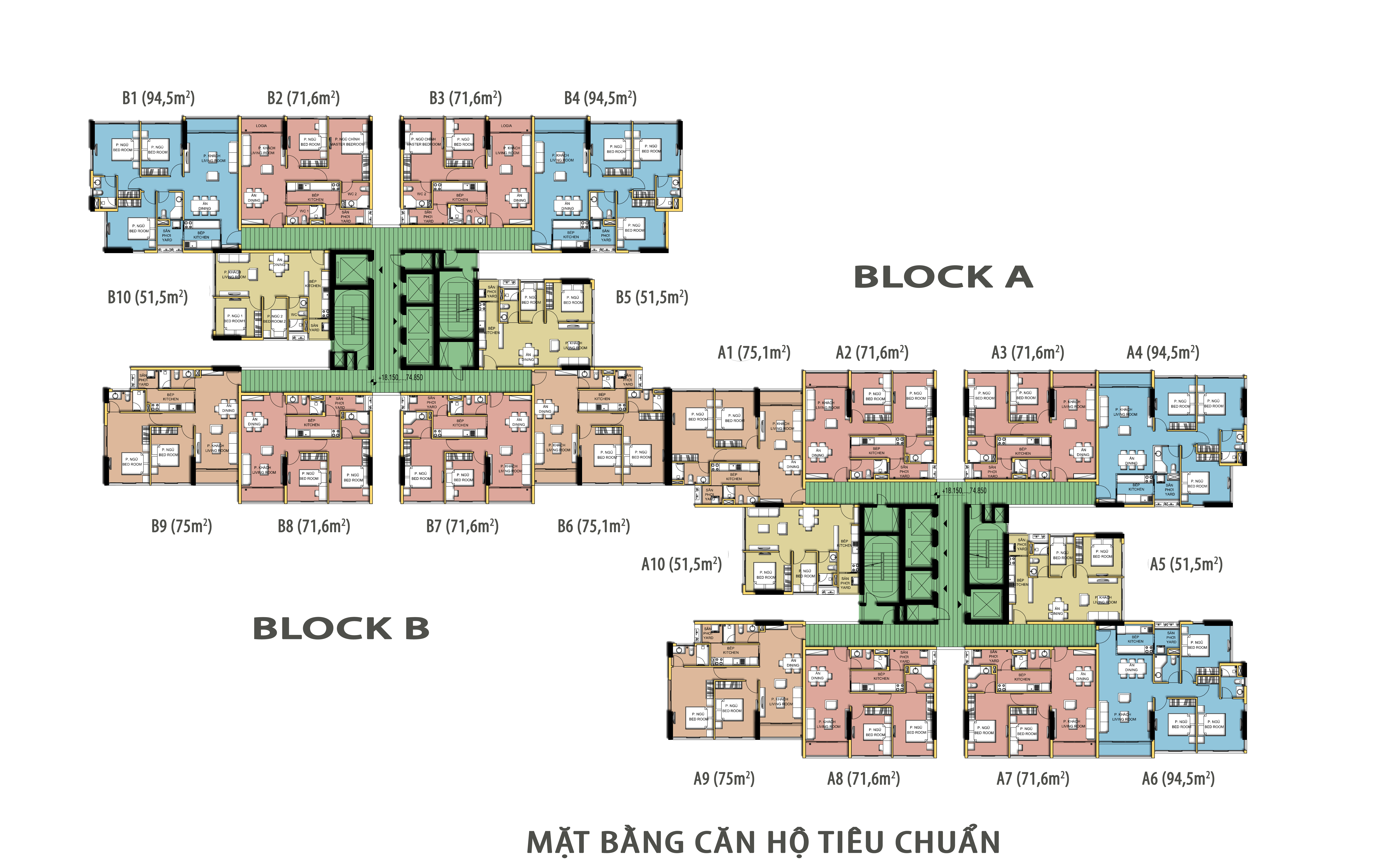 Tầng điển hình