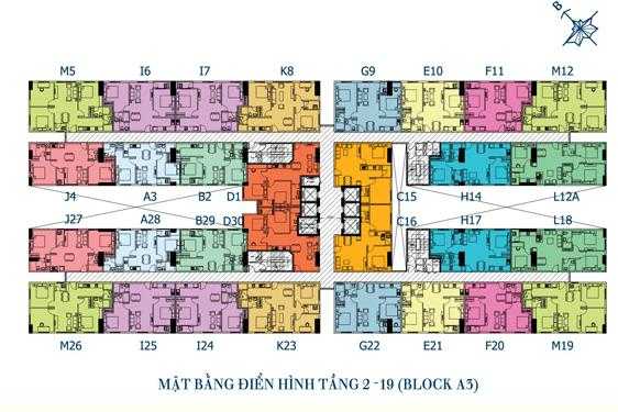 Tầng điển hình