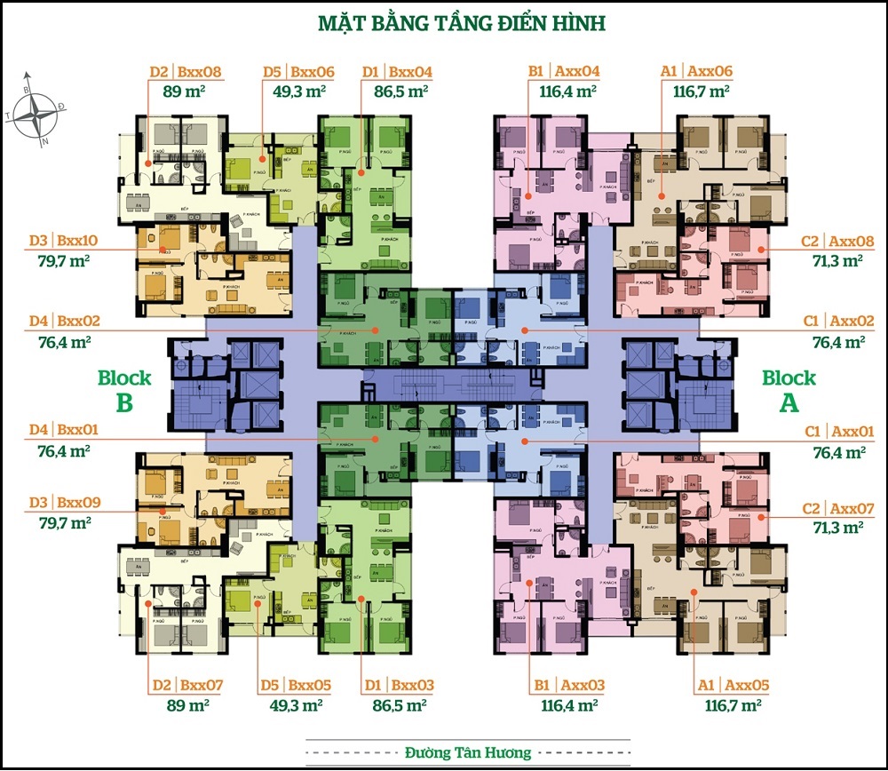 Tầng điển hình