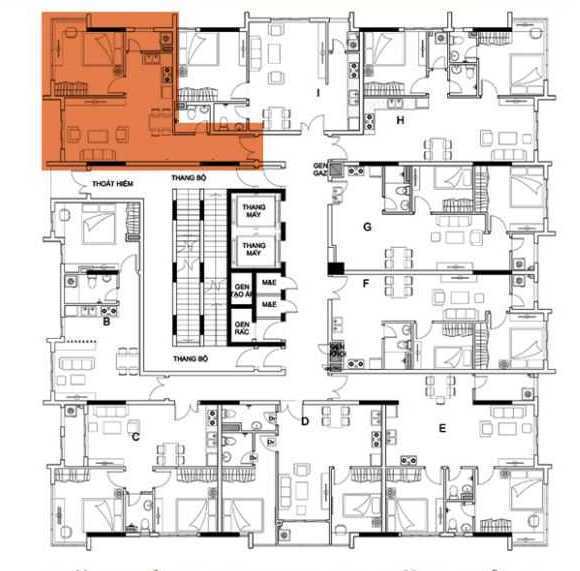 Tầng điển hình