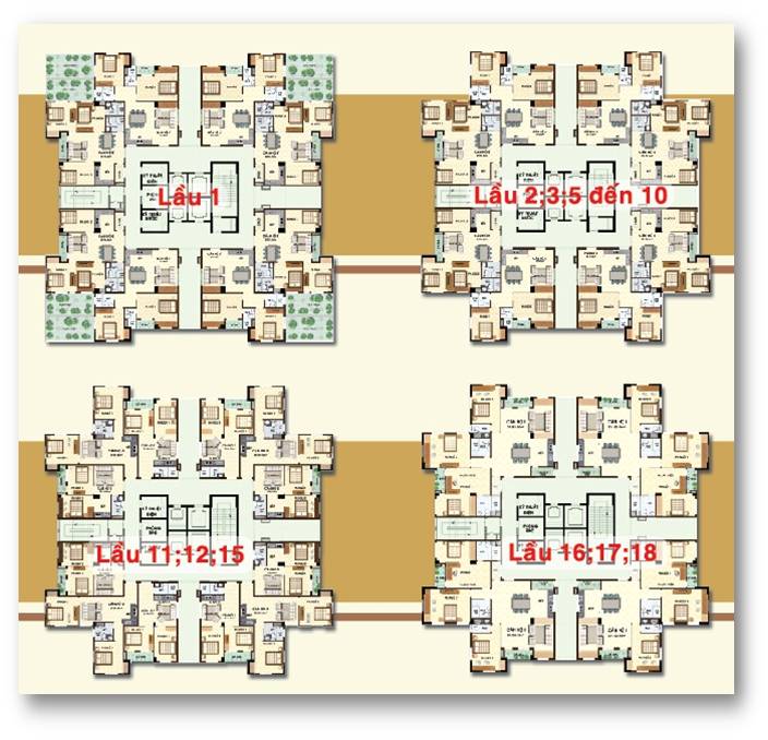 Tầng điển hình