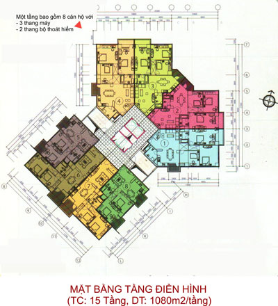 Tầng điển hình