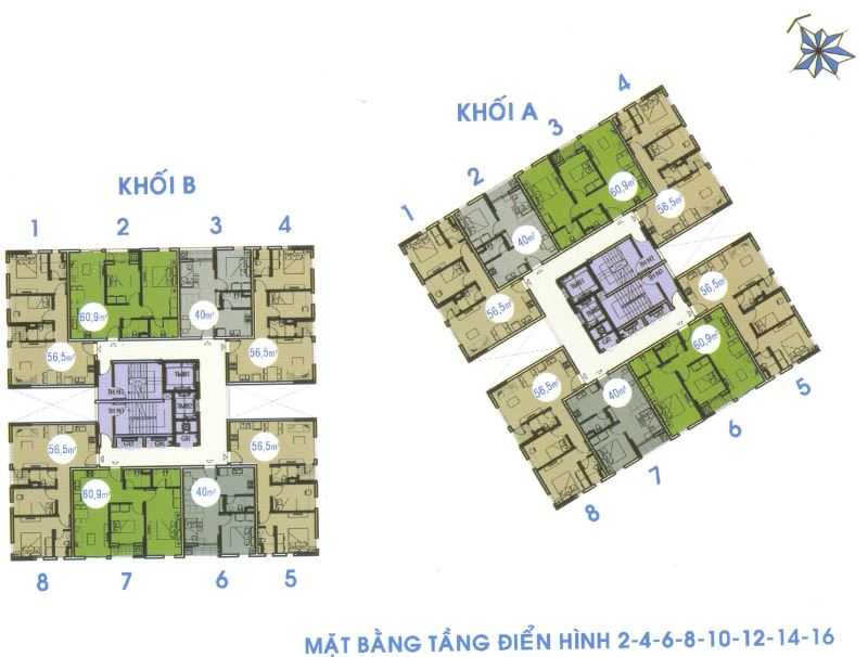 Tầng điển hình