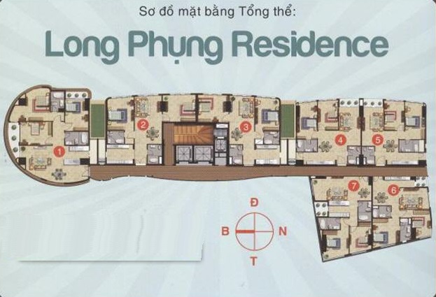 Tầng điển hình