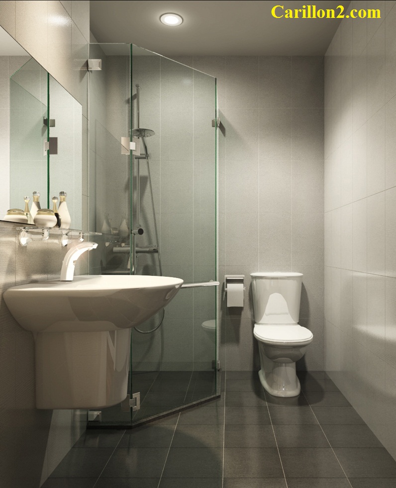 Dự án căn hộ Carillon 2 8