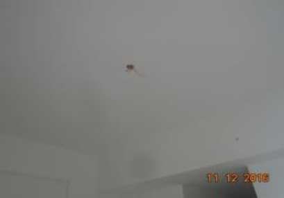 Dự án đang được bả bột căn hộ tầng 14