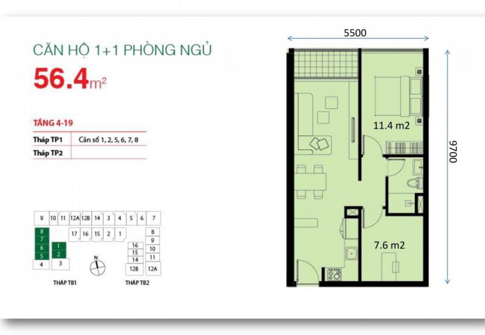 Thiết kế căn hộ 1, 2, 5, 6, 7, 8