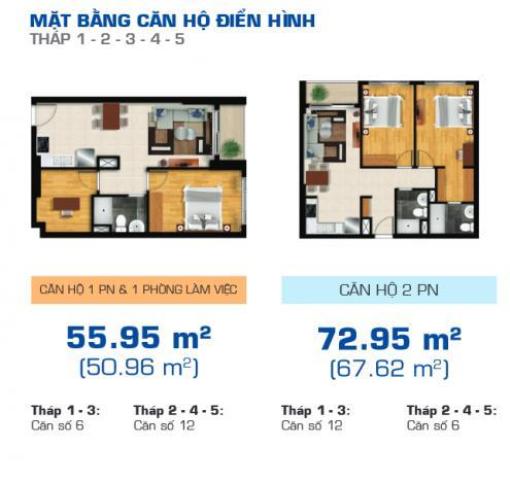 Thiết kế căn hộ 06, 12