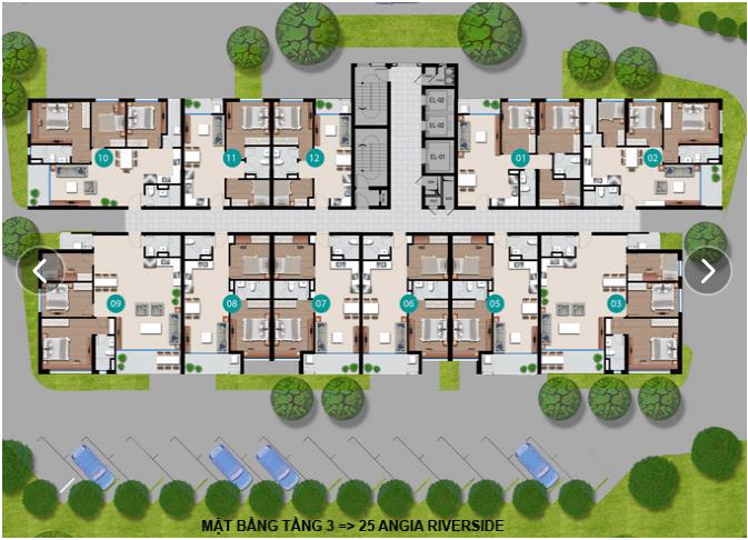 Tầng điển hình