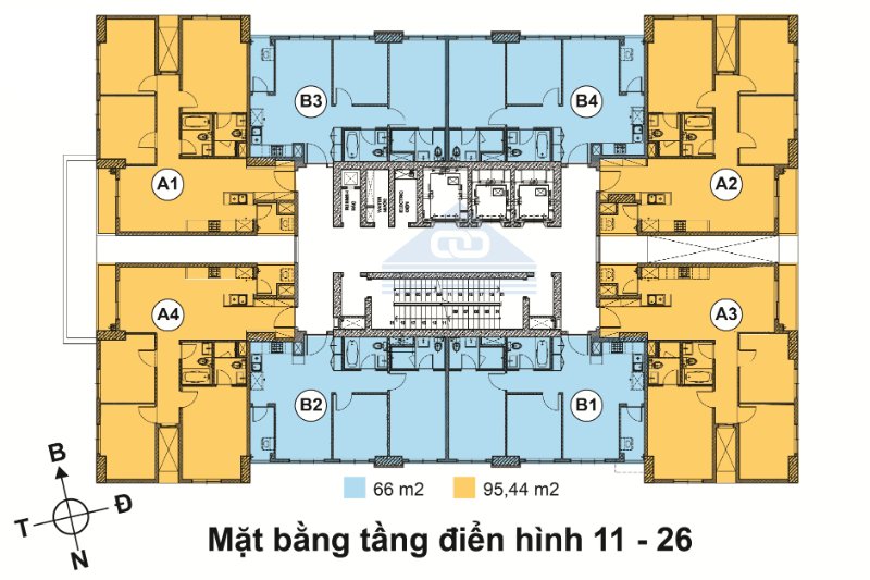 Tầng điển hình