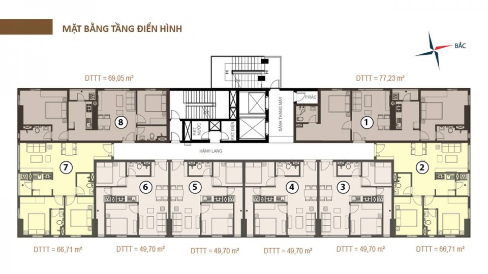 Tầng điển hình