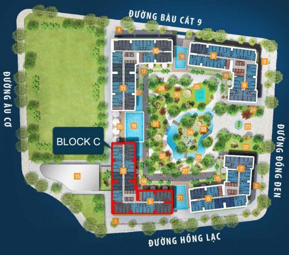 Tầng điển hình