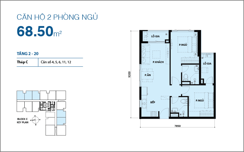 Thiết kế căn hộ 04, 05, 06, 11, 12