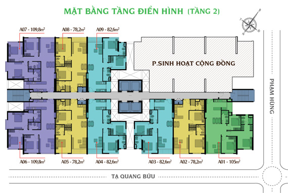 Tầng điển hình