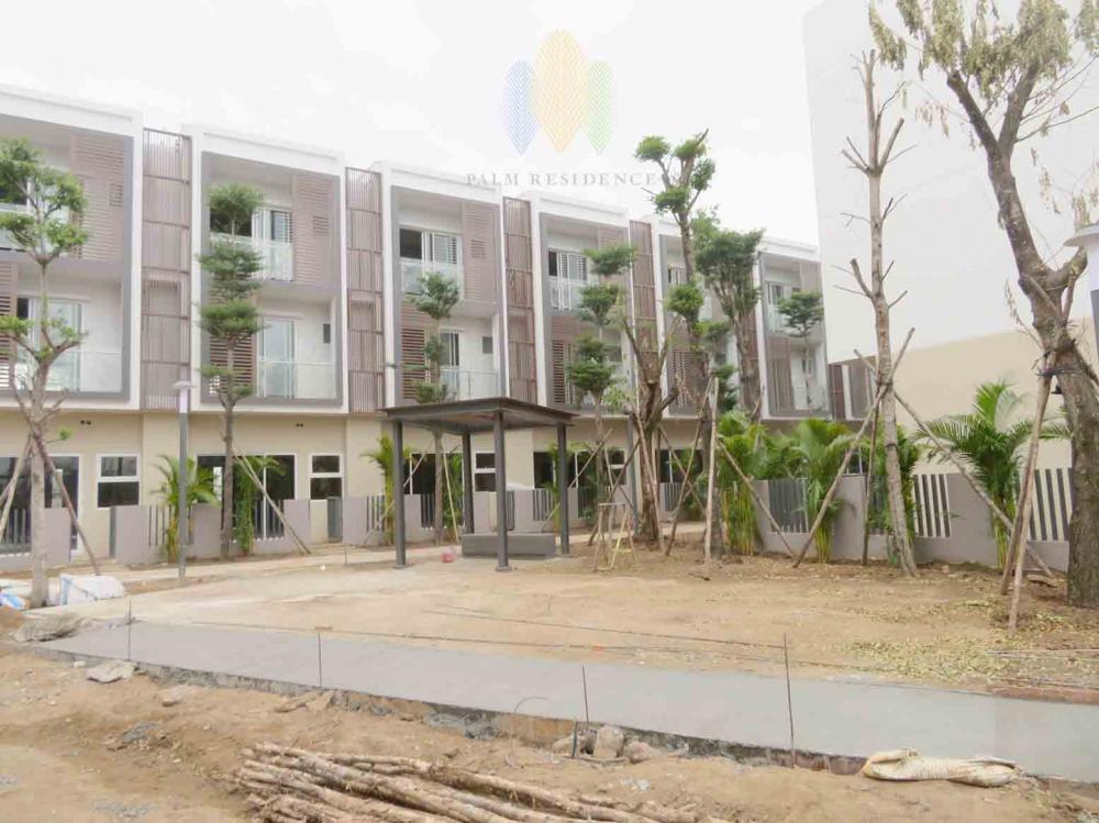 Cây xanh cảnh quan đang được trồng