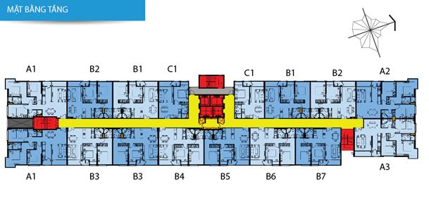 Tầng điển hình
