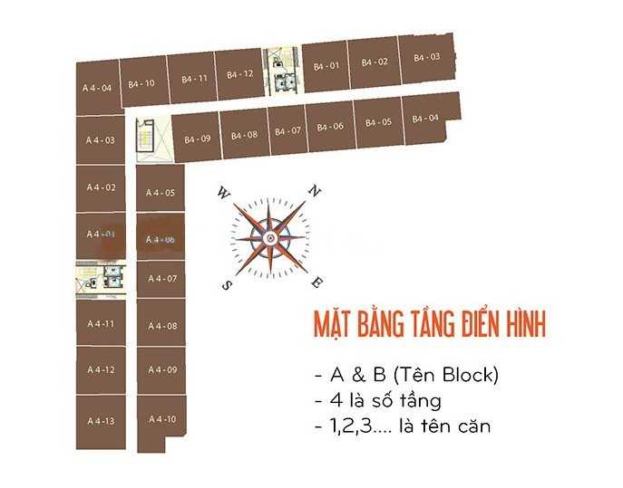 Tầng điển hình