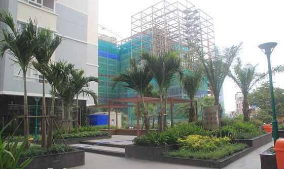 Hình ảnh thực tế dự án