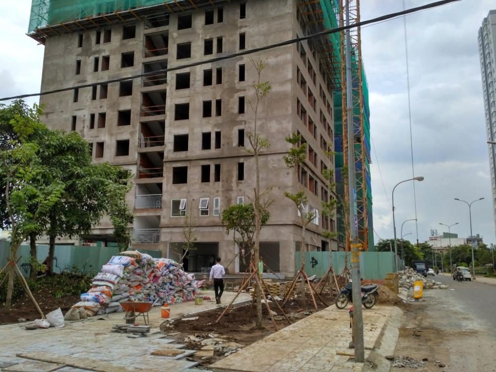 Dự án đang trong quá trình hoàn thiện