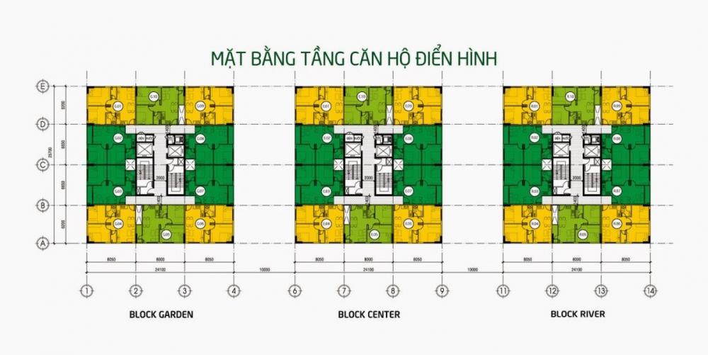 Tầng điển hình