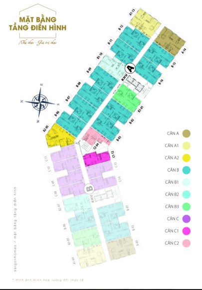 Tầng điển hình