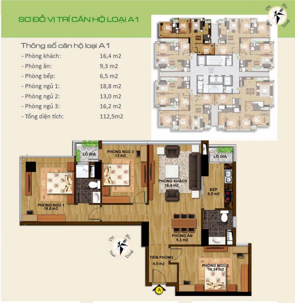 Thiết kế căn hộ loại A1