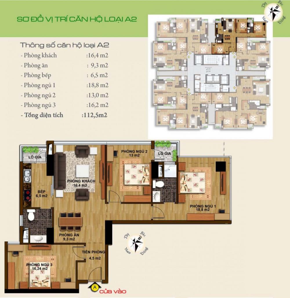 Thiết kế căn hộ loại A2