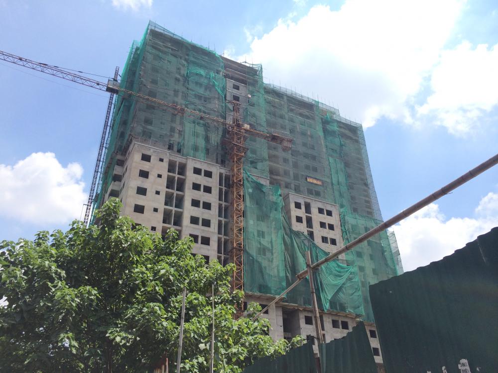 Dự án đang thi công phần thô