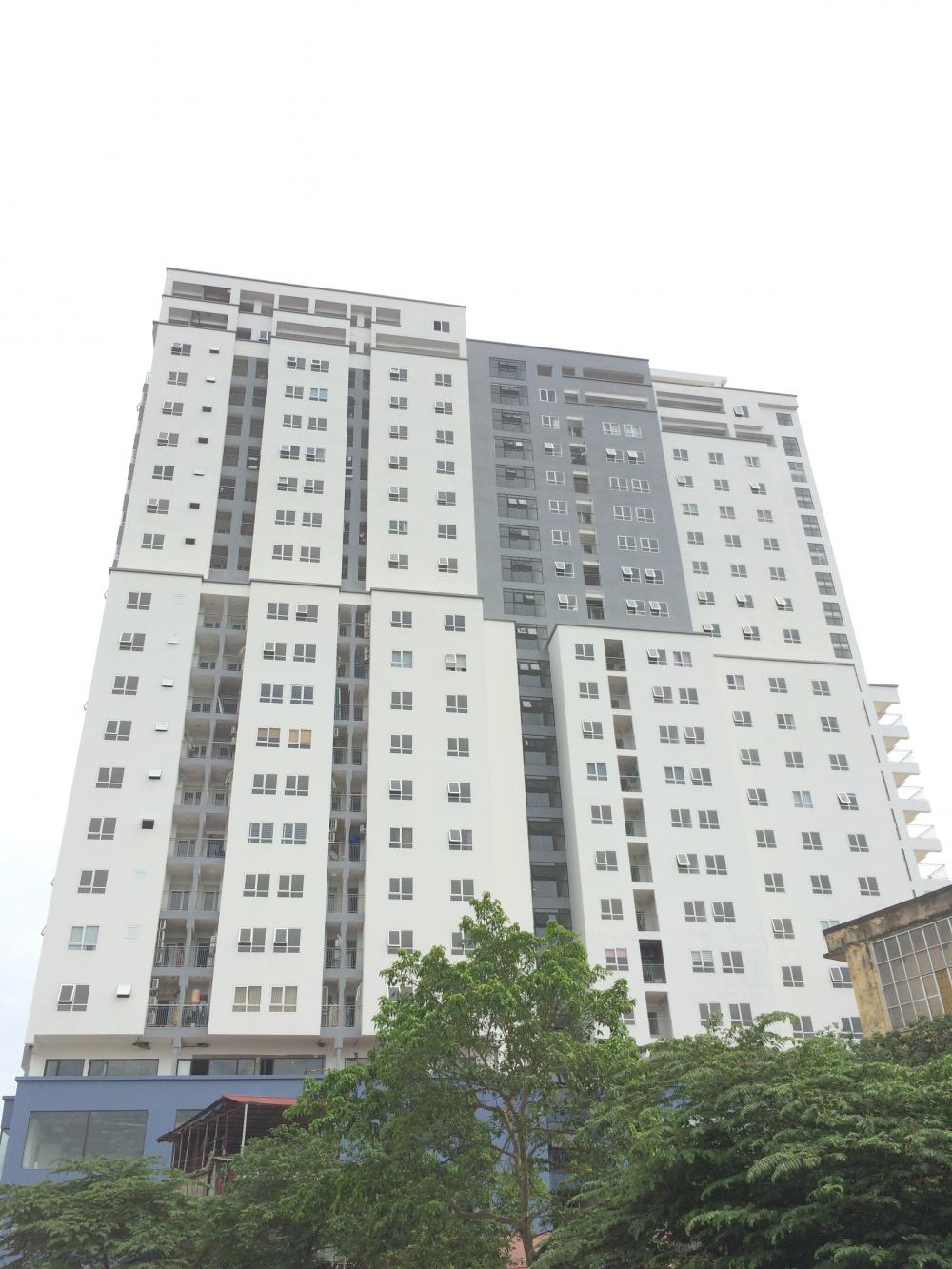 Dự án đã hoàn thiện và chuẩn bị bàn giao