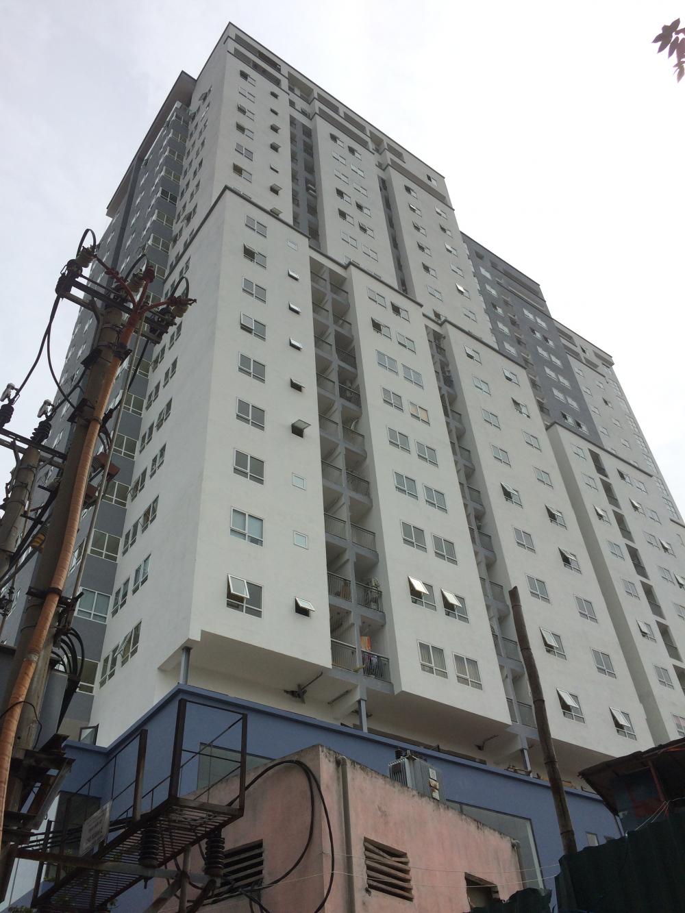 Dự án đã hoàn thiện và chuẩn bị bàn giao