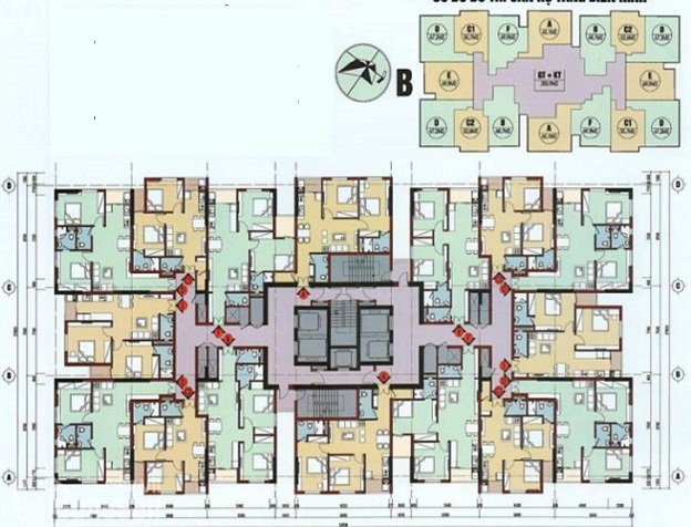 Tầng điển hình