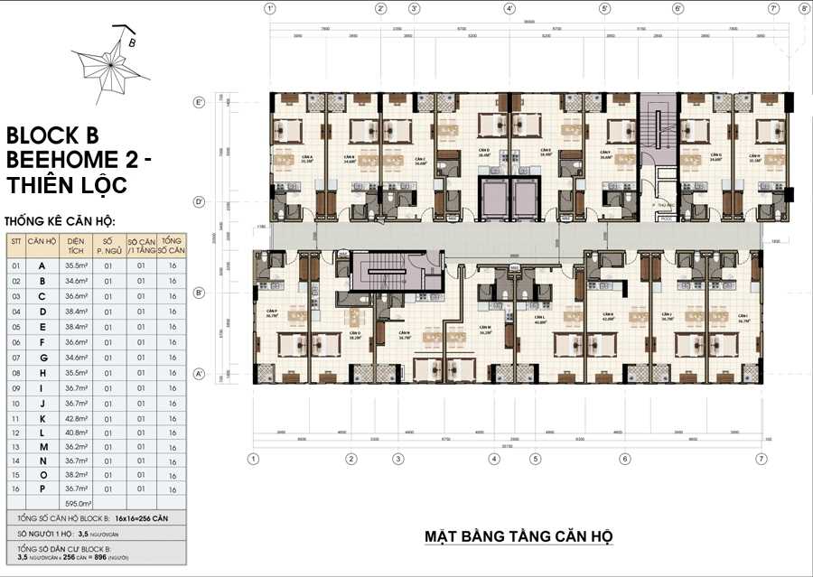 Tầng điển hình