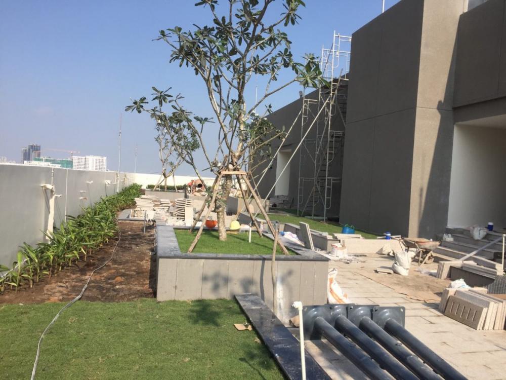 Những hạng mục cuối cùng của dự án đang được gấp rút hoàn thành