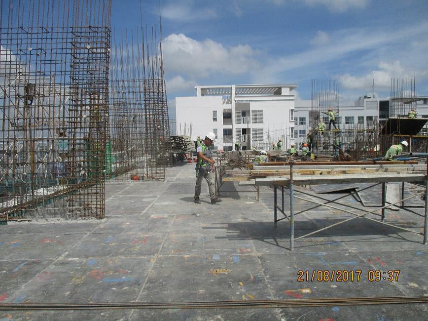 Thi công coppha sàn tầng 17 - Block 2