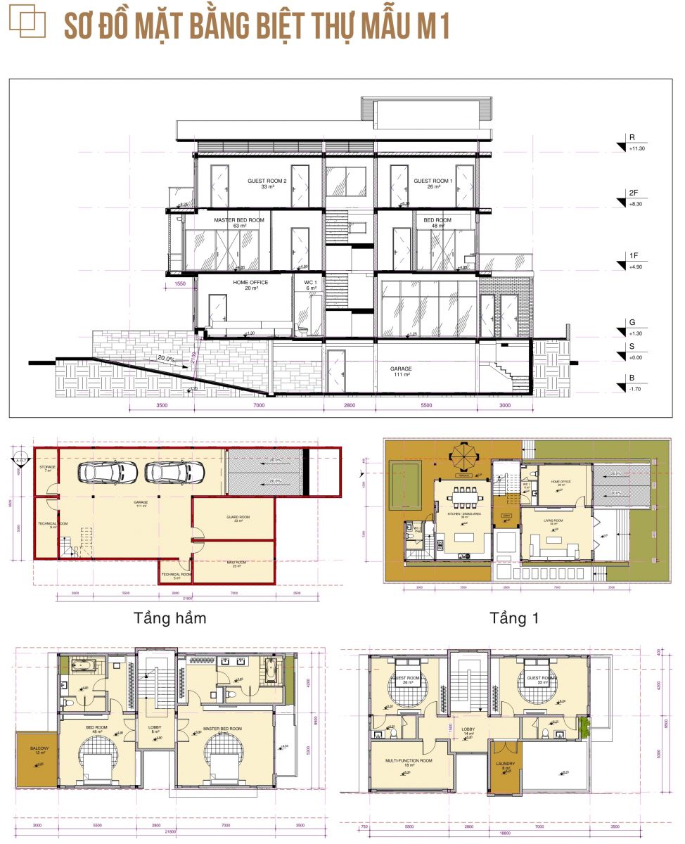 Thiết kế biệt thự mẫu M1 (lô C10 - C11 - C12)