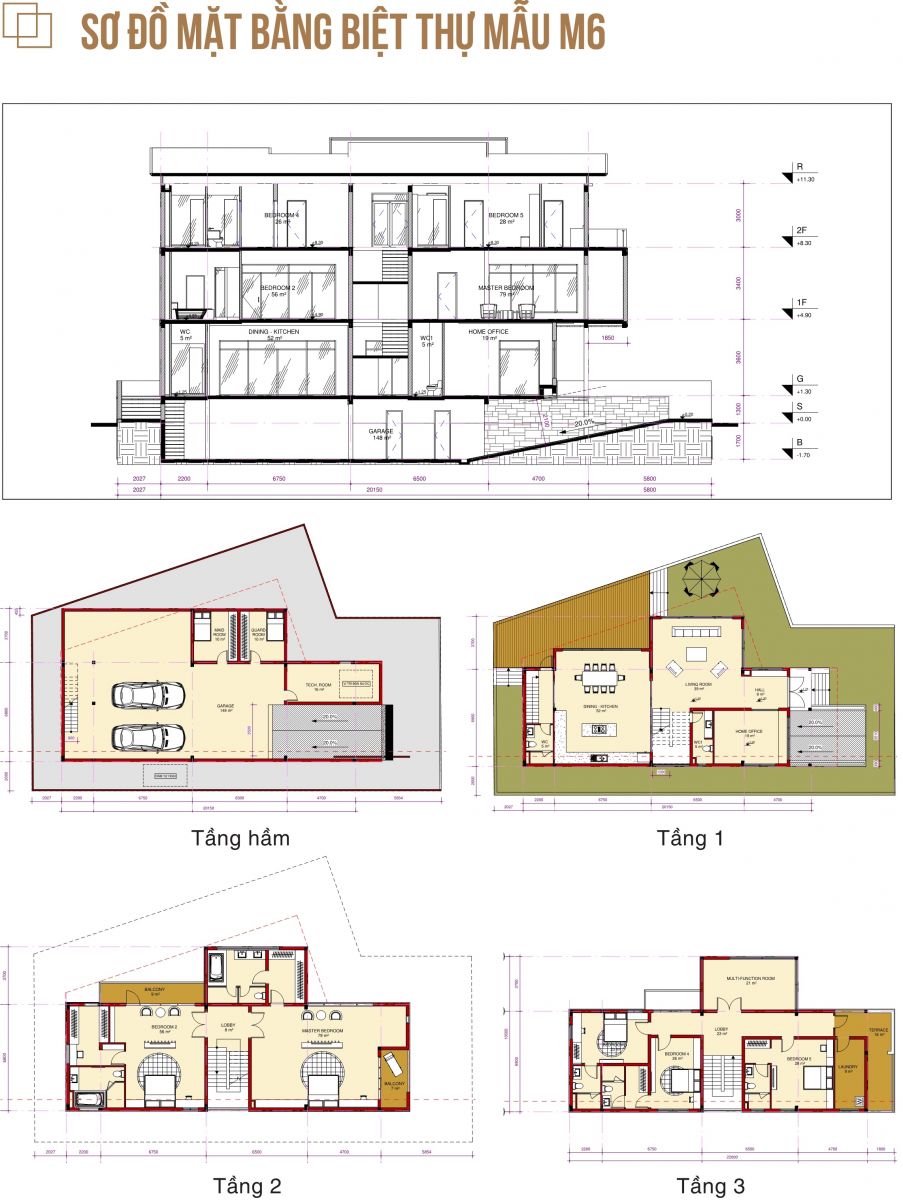 Thiết kế biệt thự mẫu M6 (lô C7)
