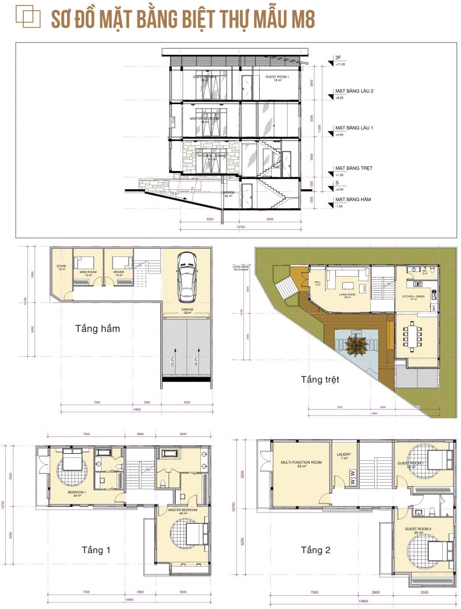Thiết kế biệt thự mẫu M8 (lô C1 - B4)