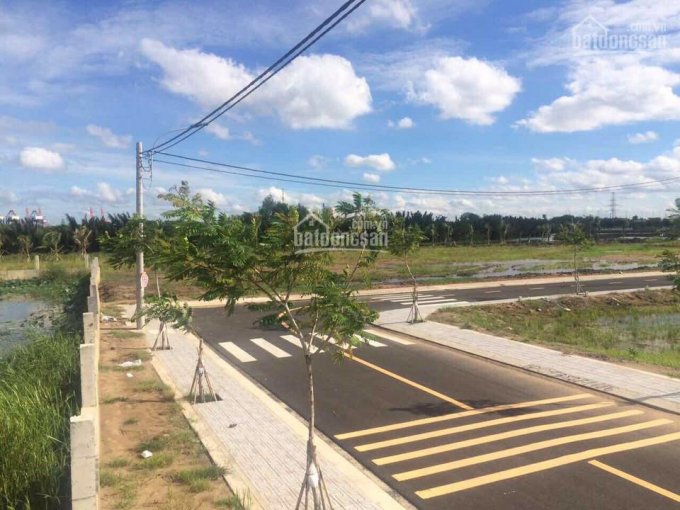 Hình ảnh thực tế dự án