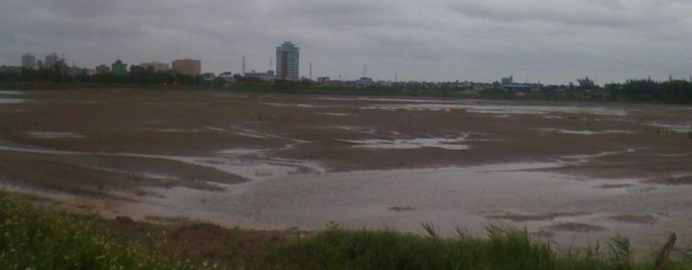 Dự án đã hoàn thành xong phần san nền và đường công vụ, sắp xây dựng nhà mẫu