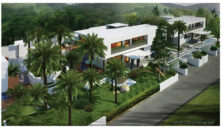 Biệt thự Anh Dũng 5 2