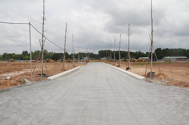 Giải phân cách nằm trên tuyến đường chính dẫn vào công trình cũng đã hoàn thành và trồng cây xanh