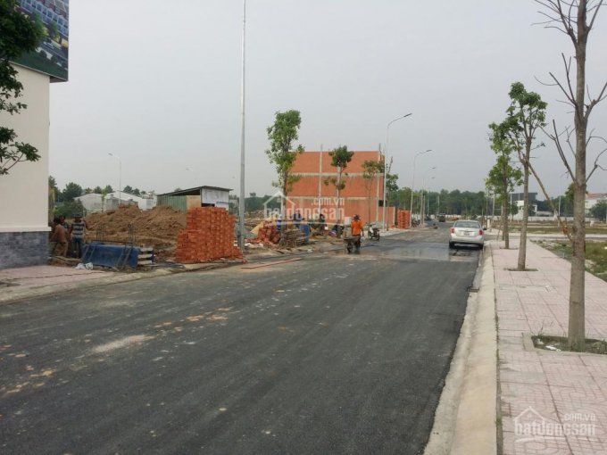 Dự án đã hoàn thiện hạ tầng và bắt đầu bàn giao