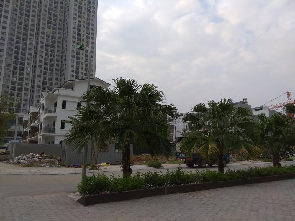 Khối liền kề đã hoàn thiện, khối chung cư đang thi công móng