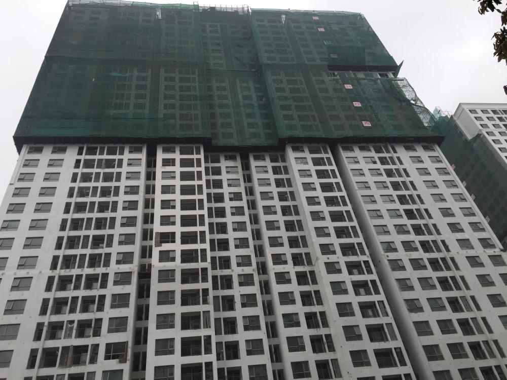 Dự án đã hoàn thành bê tông dầm sàn tầng 28